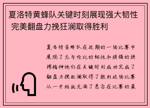 夏洛特黄蜂队关键时刻展现强大韧性 完美翻盘力挽狂澜取得胜利